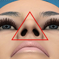 Ideal Nose View from Below