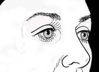 Diagram of youthful upper eyelid